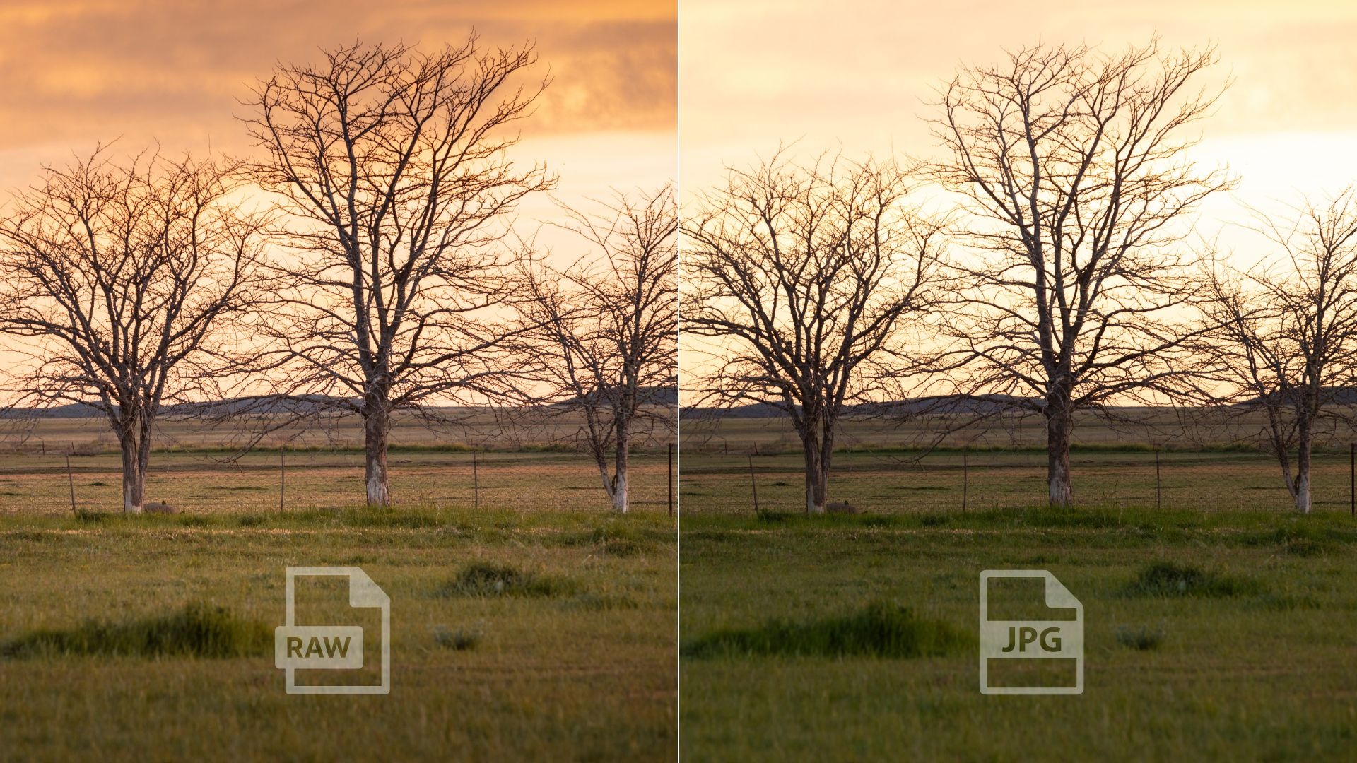 RAW vs. JPG: Why Shooting in RAW Format is a Game-Changer