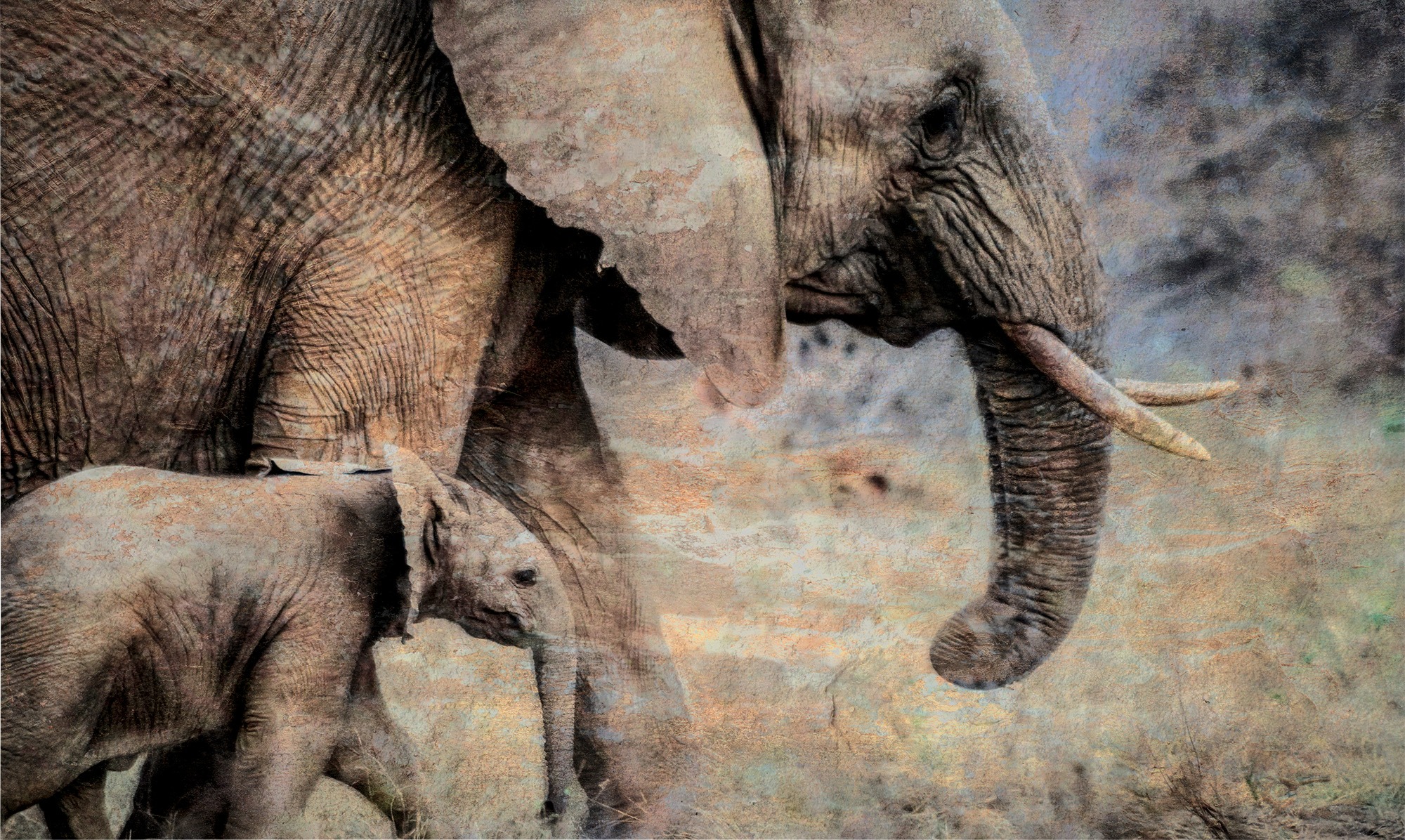 A mother elephant standing over her calf, worked as a textured artwork