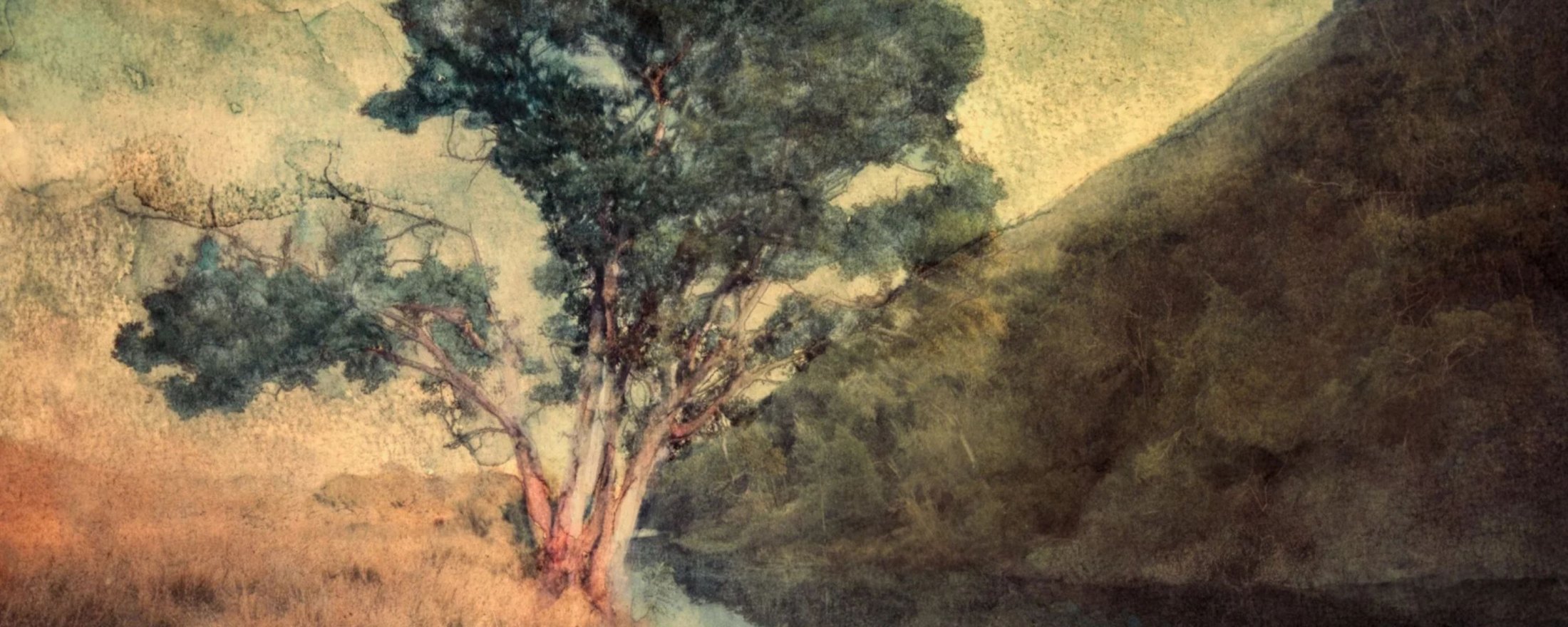 Painterly tree on a golden hillside near Swellendam